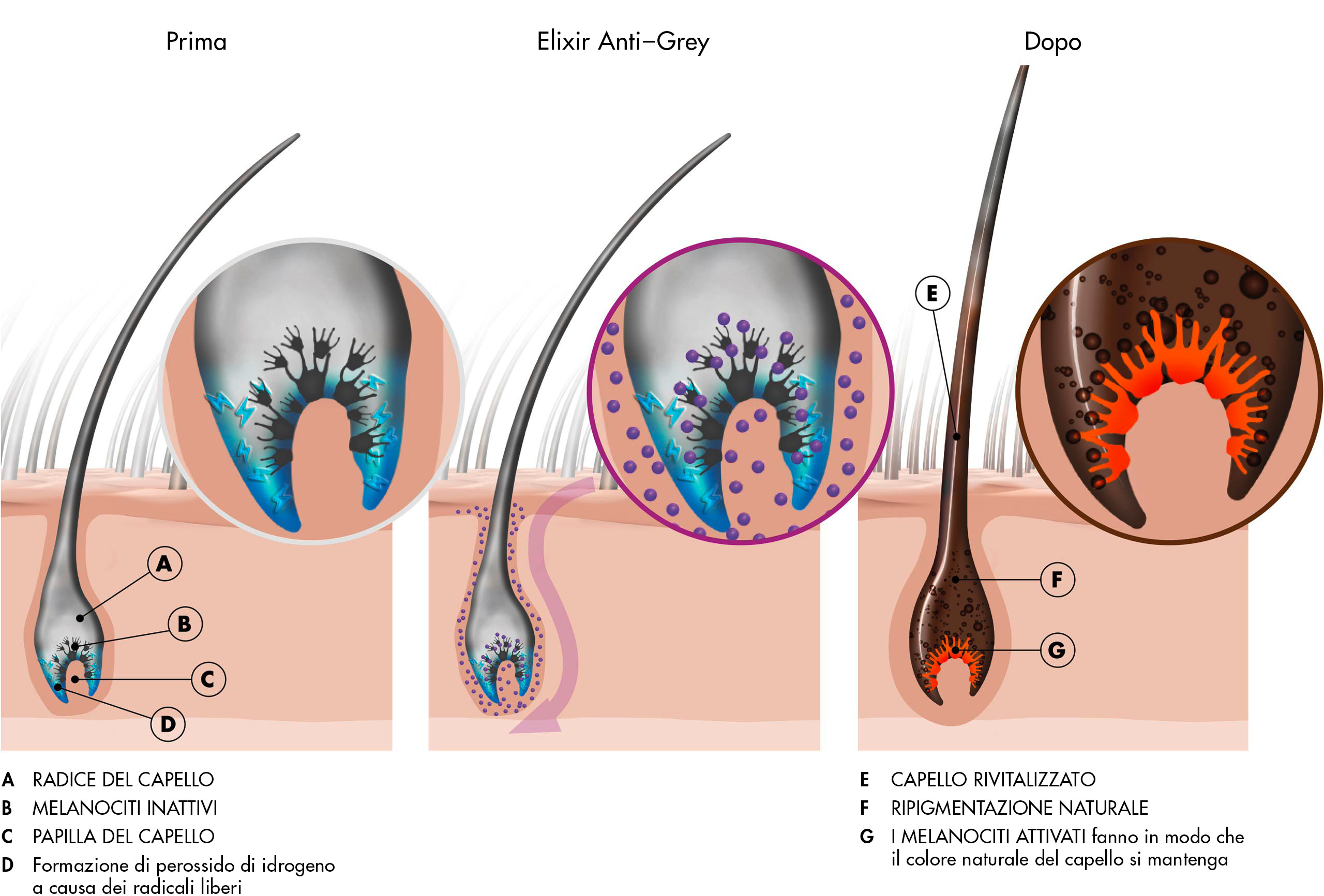 Prima e dopo l'applicazione di Elixir Anti-Grey